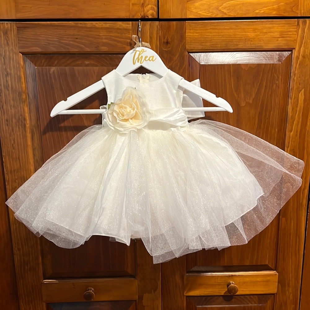 Baby Girl Flower Girl Dress